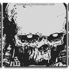 Scary Skull panels paint by numbers