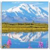 Snowy Mountains Alaska panels paint by numbers