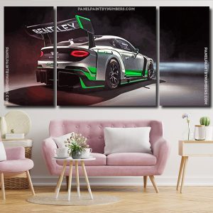 Bentley Racing Car panel paint by numbers