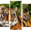 Tiger And Cubs panels paint by numbers