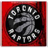 Toronto Raptors Logo Panels paint by number