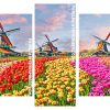 Tulip Fields and Windmills Panels paint by numbers