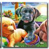 Aesthetic Cute Dogs panels paint by numbers