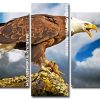 bald eagle Panels paint by numbers