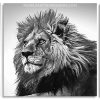 Black And White Lion panels paint by numbers