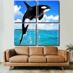 Killer Whale panesl paint by numbers