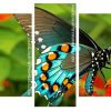 Aesthetic Butterfly panels paint by numbers