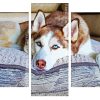 Aesthetic Siberian Husky Panel paint by numbers