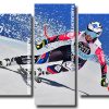 Aesthetic Skiing panels paint by numbers