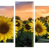 Aesthetic Sunflowers panels paint by numbers