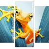 Amphibian Frog Panels paint by numbers