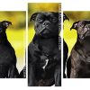 Black Staffies Dogs Panels paint by numbers