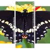 Black Swallowtail Panels paint by numbers