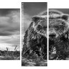 Black And White Bear panels paint by numbers