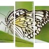 Black and White Butterfly Panels paint by numbers