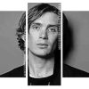 Black And White Cillian Murphy Panels paint by numbers