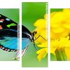 Blue And Black Butterfly With Colorful Green Panels paint by numbers