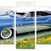 Blue and white classic car Panels paint by numbers