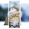 Cat In Snow Panels paint by numbers