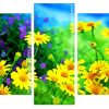 Chamomile Yellow Flowers Field panels paint by numbers