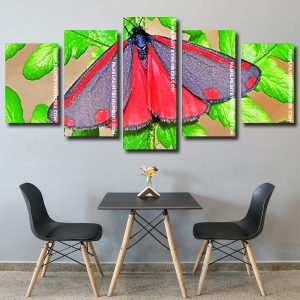 Cinnabar Moth panels paint by numbers