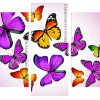 Colorful Butterflies Panels paint by numbers