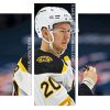 Curtis Lazar Boston Bruins Player panels paint by numbers