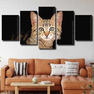 Cute Kitten Panels paint by numbers