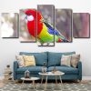 Eastern Rosella Bird panels paint by numbers