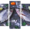 Fishes Food panels paint by numbers