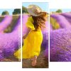 Girl In Lavender Field Panels paint by numbers