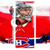 Habs Ice Hockey Player Panels paint by numbers