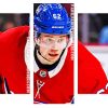 Habs Player Panels paint by numbers