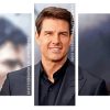 Handsome Tom Cruise panels paint by numbers