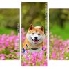 Happy Shiba Inu panels paint by numbers