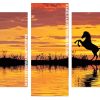 Horse Reflection And Sunset Panels paint by numbers