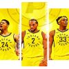 Indiana Pacers Team Panels paint by numbers