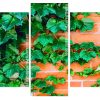 Ivy Plant panels paint by numbers