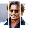 Johnny Depp panels paint by numbers