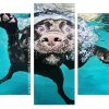 Labrador Swims Underwater Panels paint by numbers