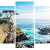 Lone Cypress Monterey Panels paint by numbers