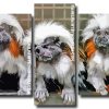 Marmosets Panels paint by numbers