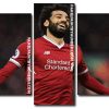 Mohamed Salah panels paint by numbers