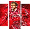 Mohamed salah Player Art Panels paint by numbers