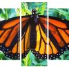 Monarch Butterfly panels paint by numbers