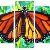 Monarch Butterfly Panels paint by numbers