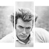 Monochrome Clint Eastwood panels paint by numbers