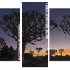 Namibia Aloe Dichotoma Trees Panel paint by numbers