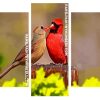 Northern Cardinals Birds panels paint by numbers