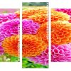 Orange And Pink Dahlias Panel paint by numbers